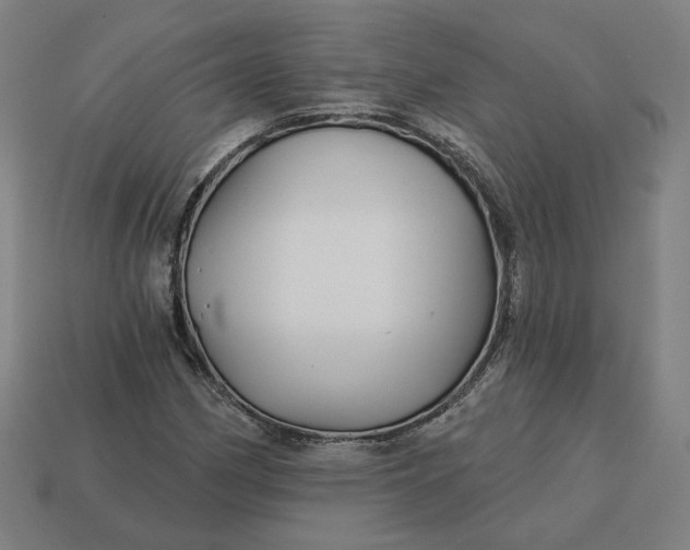 X0000113341162200910060951