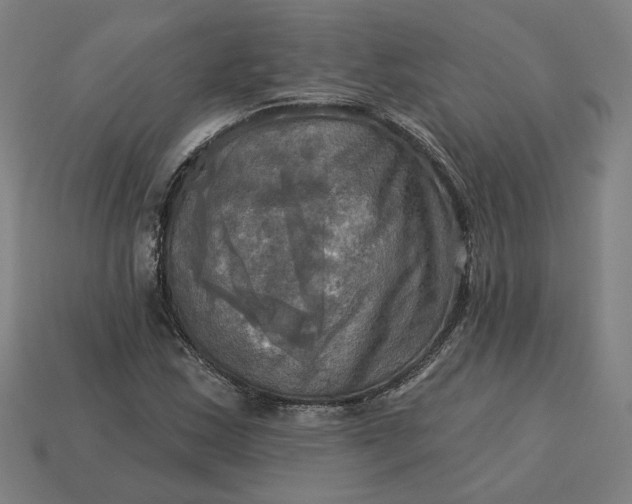 X0000113341163200910060951