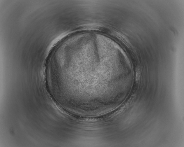 X0000113341164200910060951