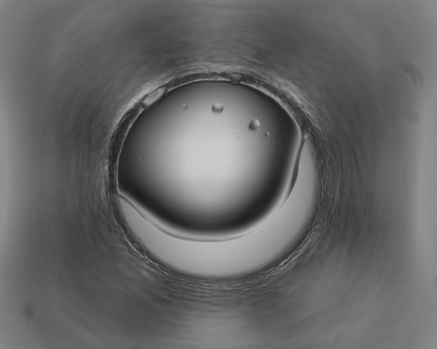 X0000113341165200910060951