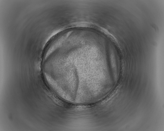 X0000113341166200910060951