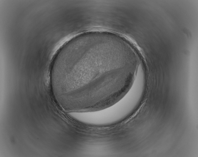 X0000113341167200910060951