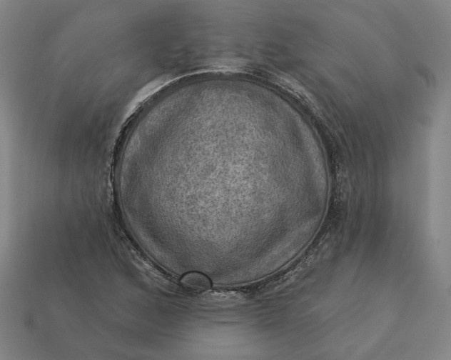 X0000113341168200910060951