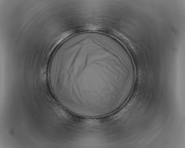 X0000113341170200910060951