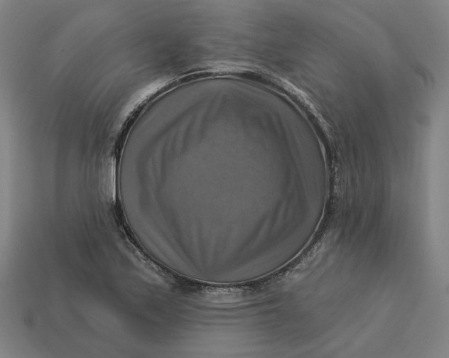 X0000113341171200910060951