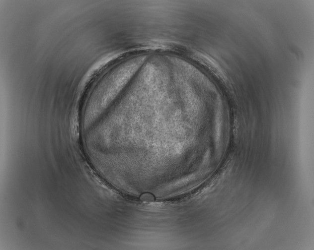 X0000113341172200910060951