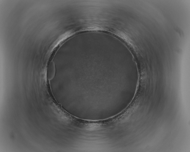 X0000113341173200910060951