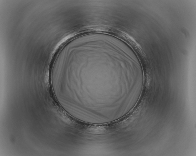 X0000113341174200910060951