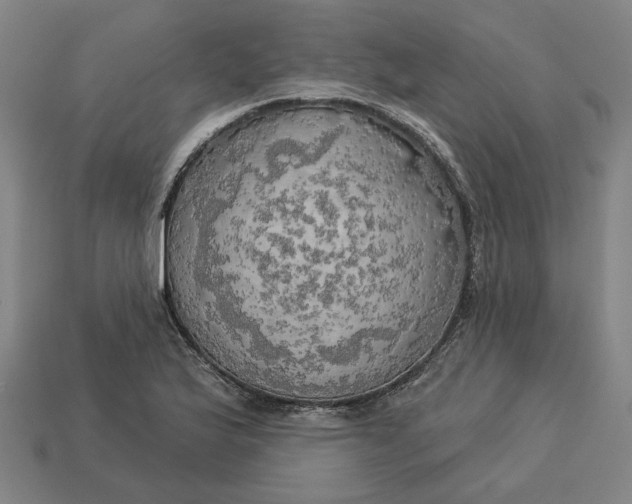 X0000113341175200910060951