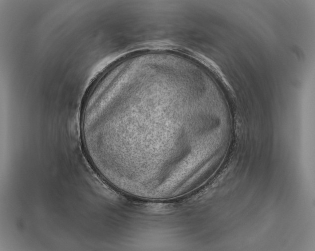 X0000113341176200910060951