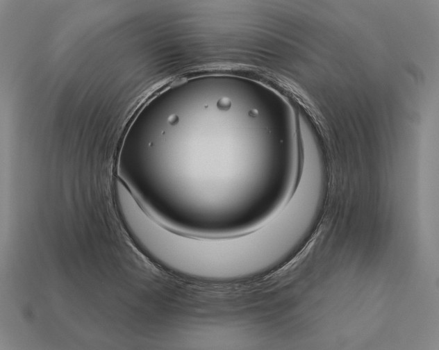 X0000113341177200910060951