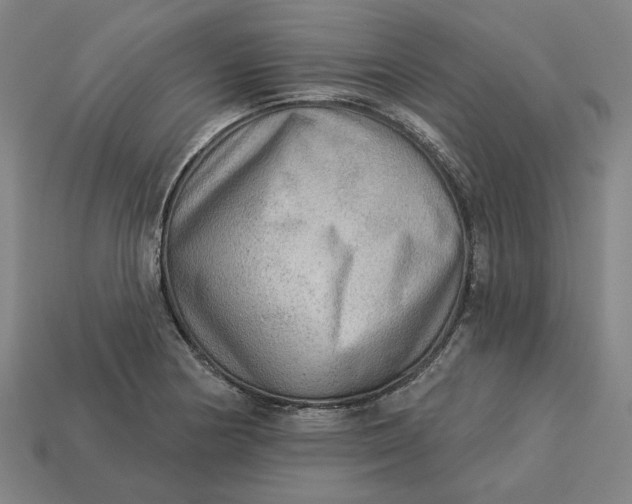 X0000113341178200910060951