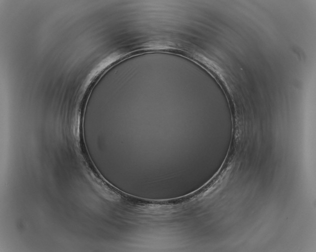 X0000113341179200910060951