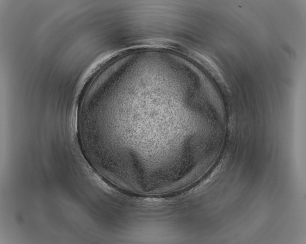 X0000113341180200910060951