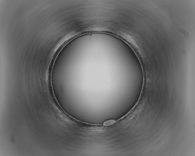 X0000113341181200910060951