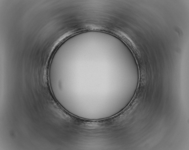 X0000113341182200910060951