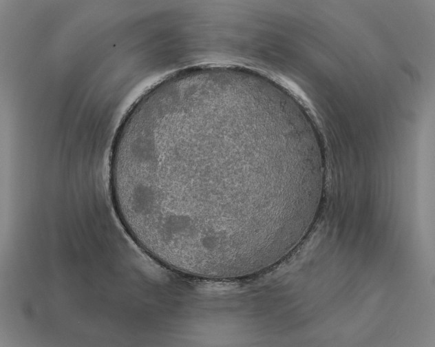 X0000113341183200910060951