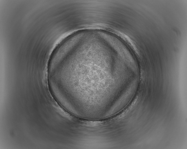 X0000113341184200910060951