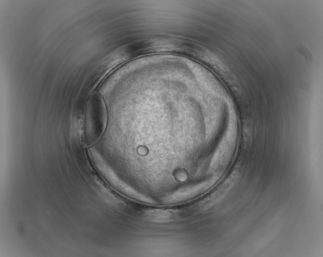 X0000113341185200910060951