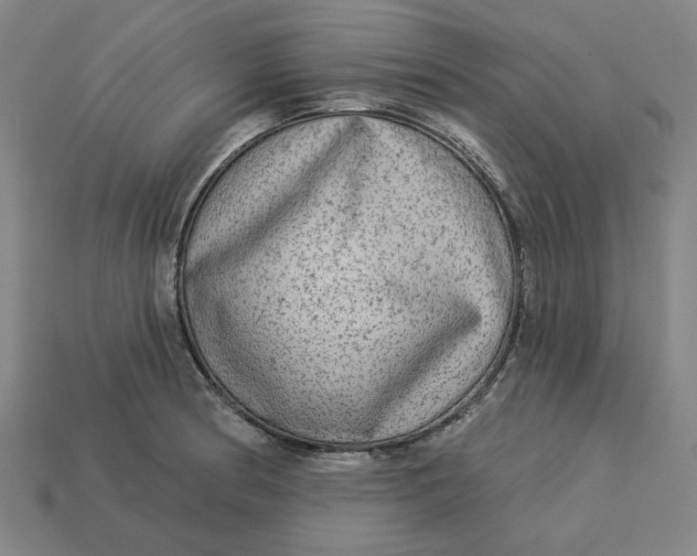 X0000113341186200910060951