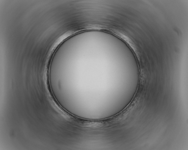 X0000113341187200910060951