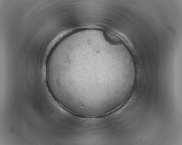 X0000113341188200910060951