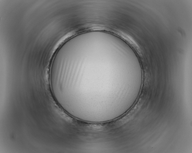 X0000113341190200910060951