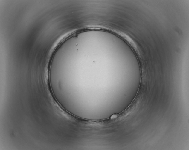 X0000113341191200910060951