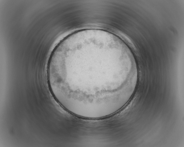 X0000113341192200910060951