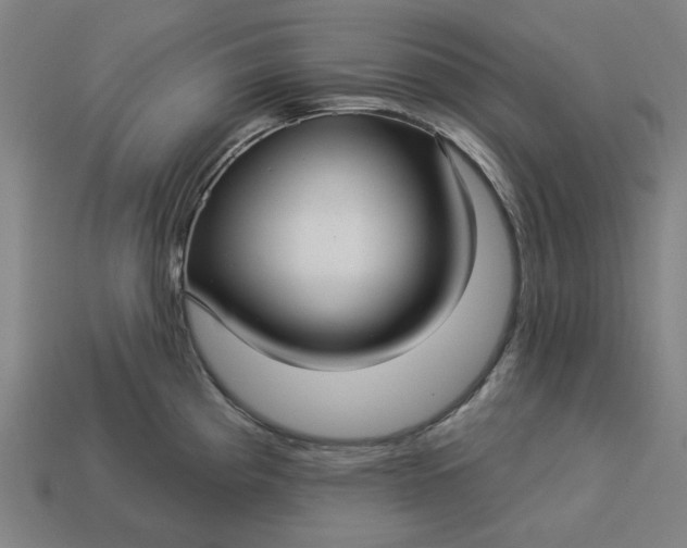 X0000113341193200910060951