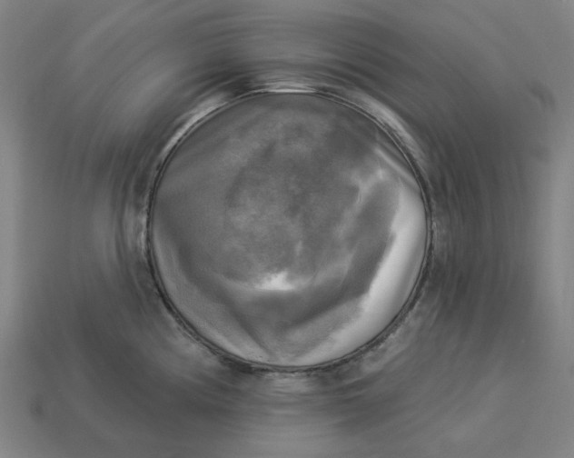 X0000113341194200910060951