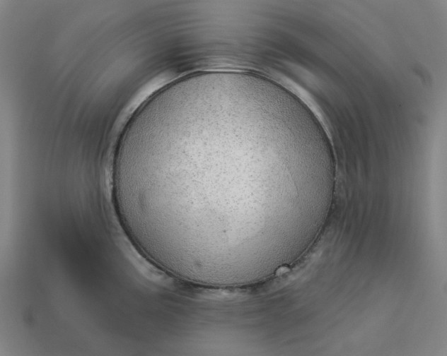 X0000113341195200910060951