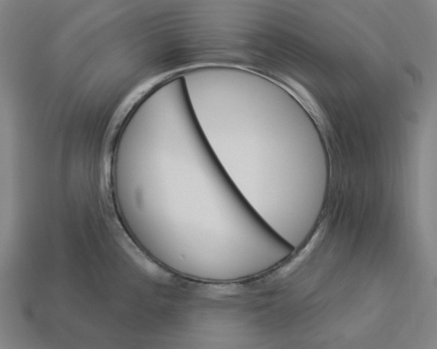 X0000113341196200910060951