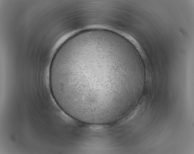 X0000113341199200910060951