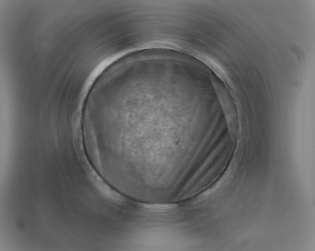 X0000113341200200910060951