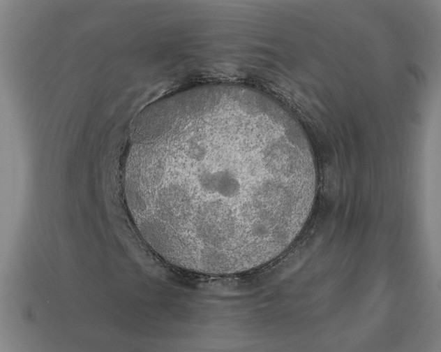 X0000113341201200910060950