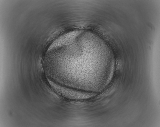 X0000113341202200910060950