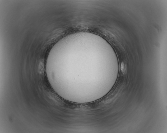 X0000113341203200910060950