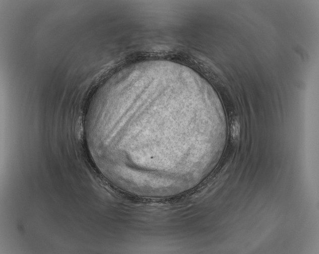 X0000113341204200910060950