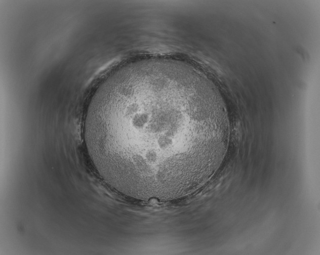 X0000113341205200910060950