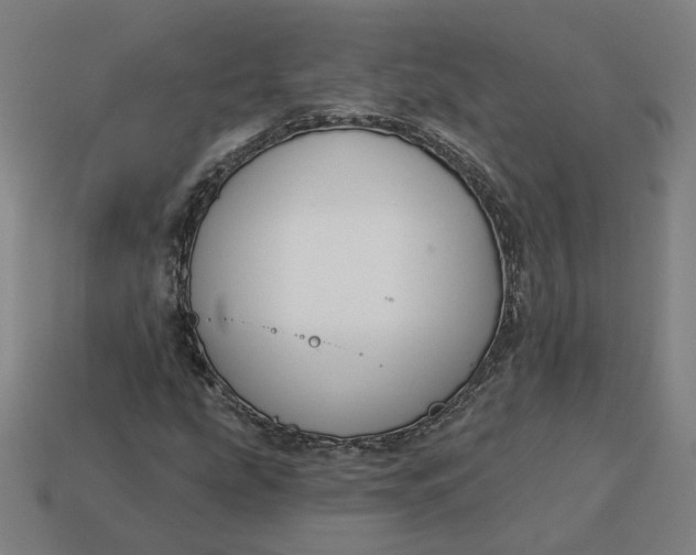 X0000113341207200910060950