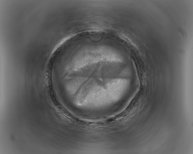 X0000113341208200910060950