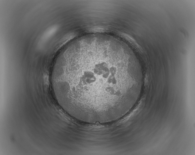 X0000113341209200910060950