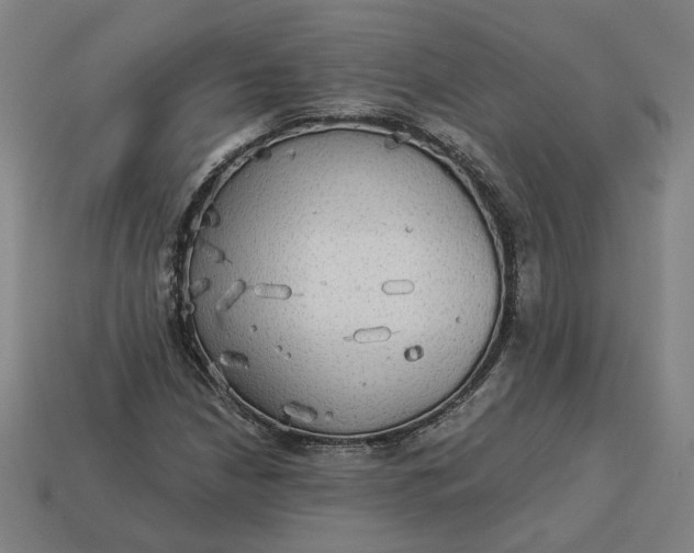 X0000113341210200910060951