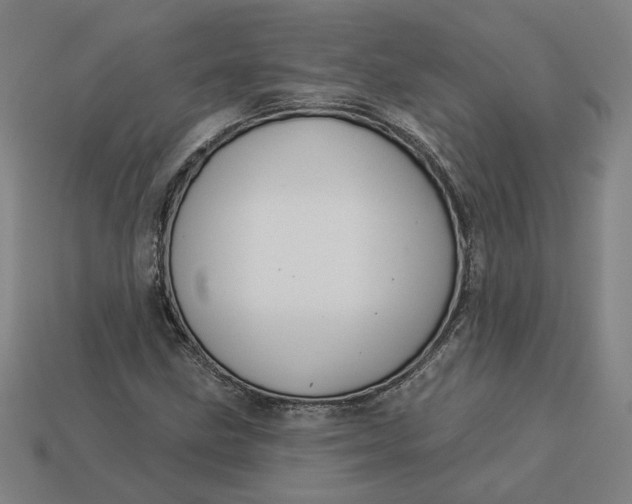 X0000113341211200910060951