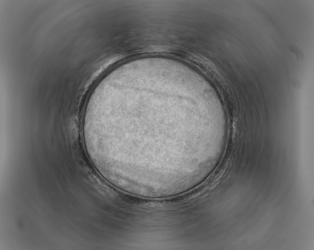 X0000113341212200910060951