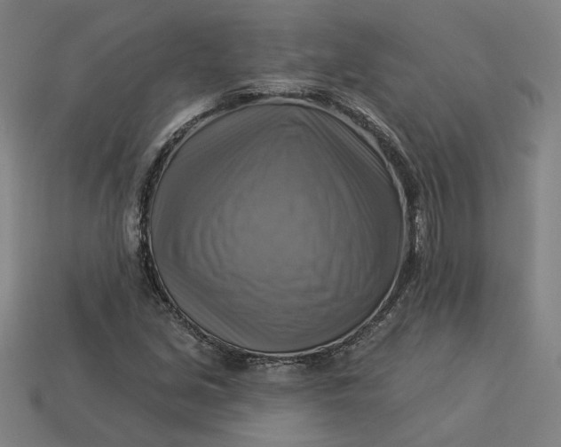 X0000113341213200910060951