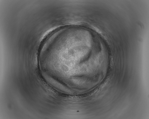 X0000113341214200910060951