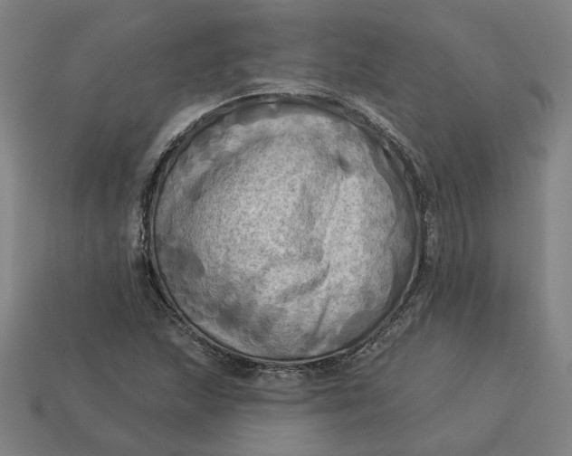 X0000113341215200910060951