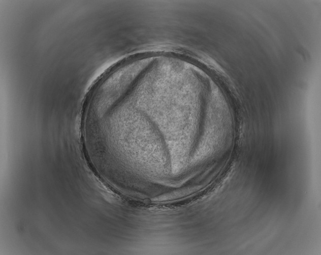 X0000113341216200910060951